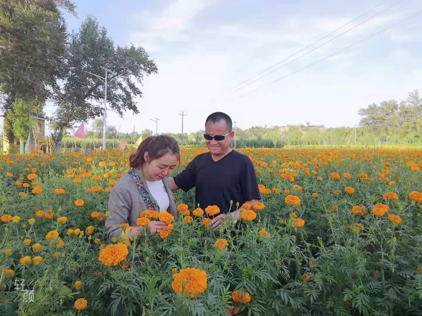 首页| CA88集团中国唯一官方网站